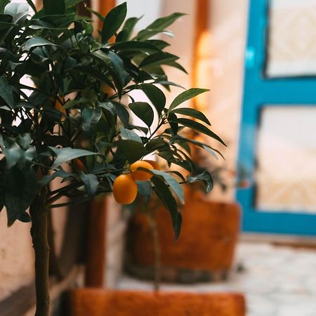 B&B Ziu Anacletu Villaputzu Buitenkant foto