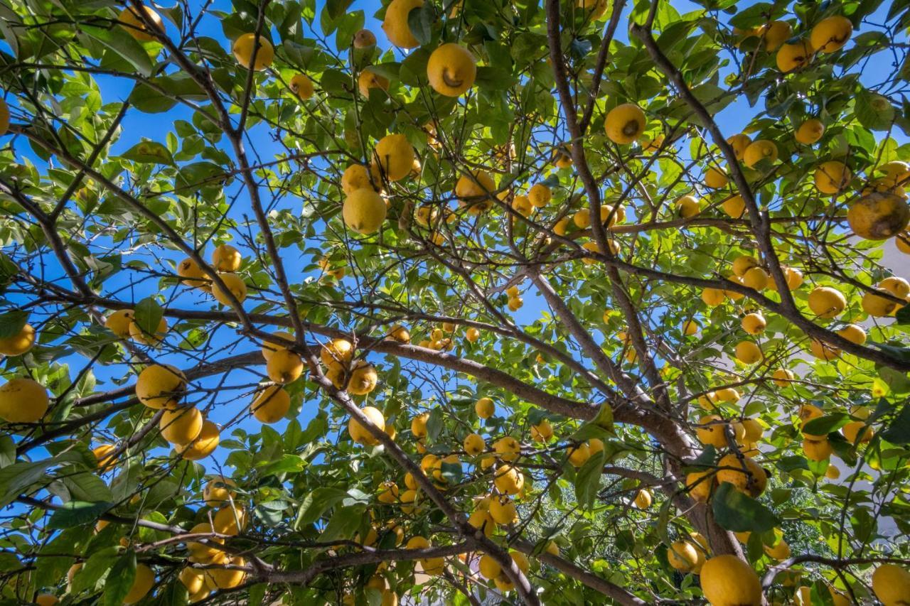 B&B Ziu Anacletu Villaputzu Buitenkant foto